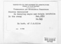 Image Associated With the Occurence